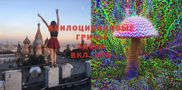 герыч Протвино