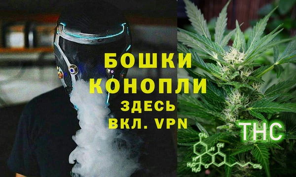 прущие грибы Приозерск