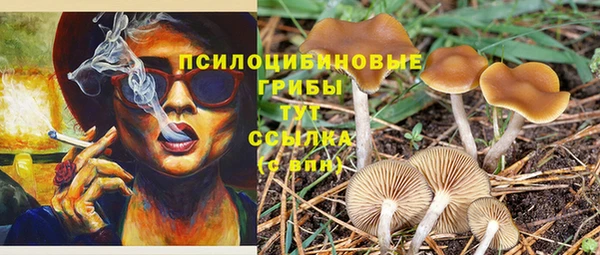 ALPHA PVP Пролетарск