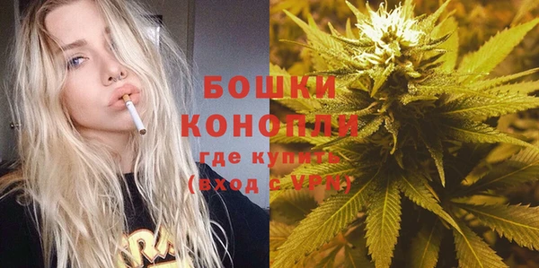 прущие грибы Приозерск